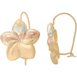 Aretes